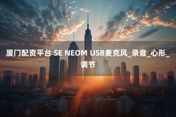 厦门配资平台 SE NEOM USB麦克风_录音_心形_调节